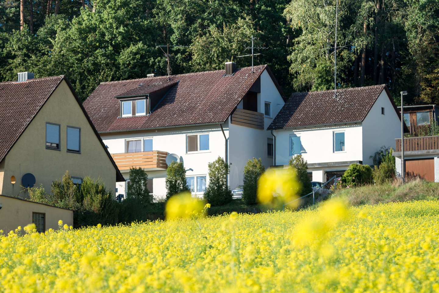 Ferienwohnung Rosenbach